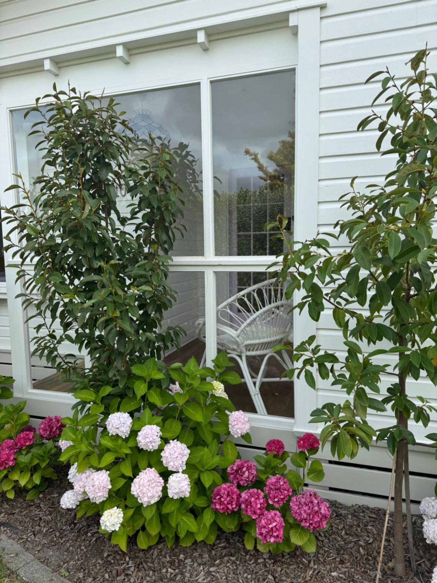 Luxury Magnolia